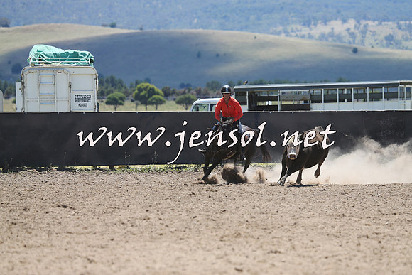 AdaminabyCampdraft2014_0047
