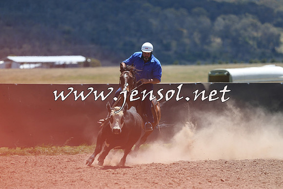 AdaminabyCampdraft2014_0061