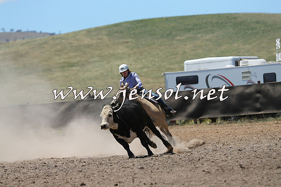 AdaminabyCampdraft2014_0098
