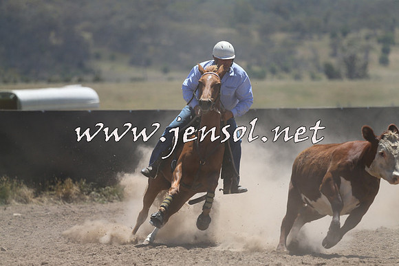 AdaminabyCampdraft2014_0077