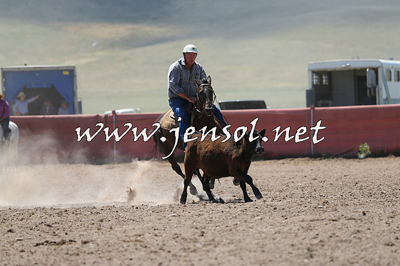 AdaminabyCampdraft2014_0011