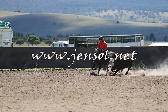 AdaminabyCampdraft2014_0049