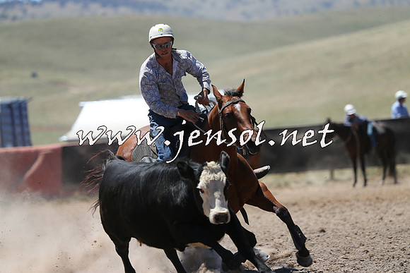 AdaminabyCampdraft2014_0036