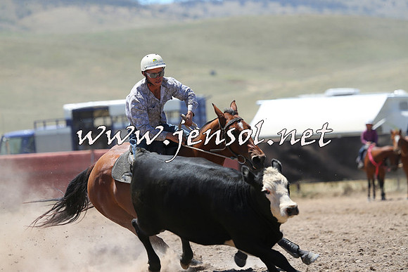 AdaminabyCampdraft2014_0039