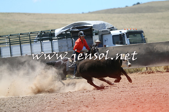 AdaminabyCampdraft2014_0045