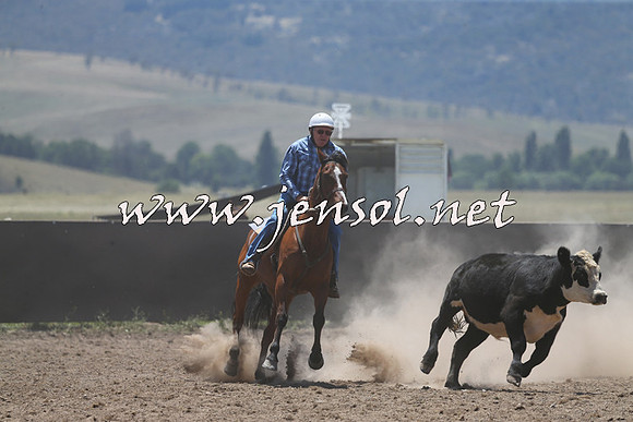 AdaminabyCampdraft2014_0119
