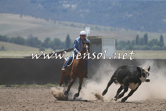 AdaminabyCampdraft2014_0120