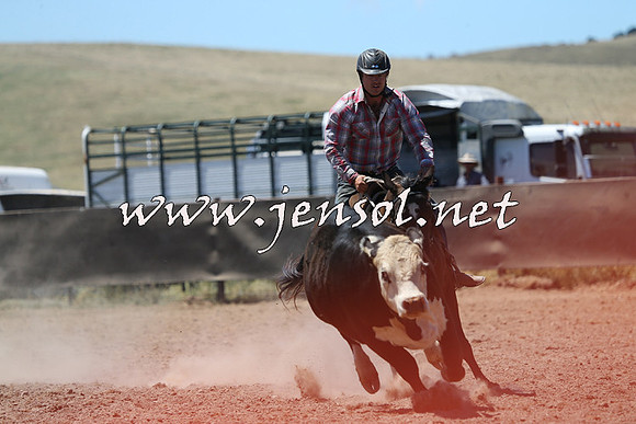AdaminabyCampdraft2014_0024