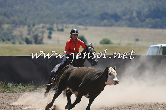 AdaminabyCampdraft2014_0042