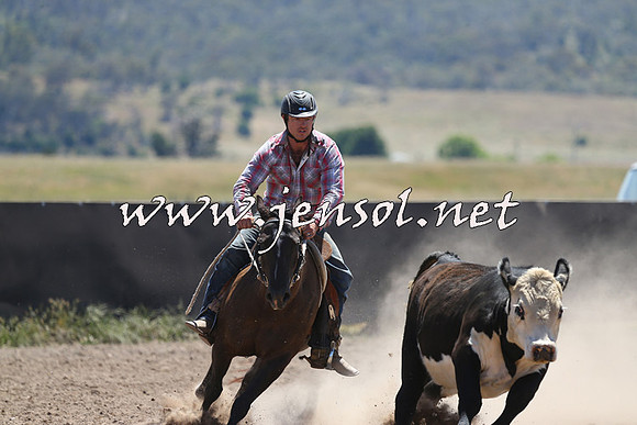 AdaminabyCampdraft2014_0018