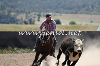 AdaminabyCampdraft2014_0019