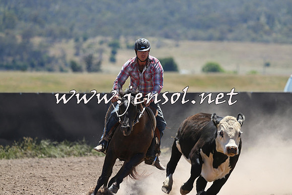 AdaminabyCampdraft2014_0019