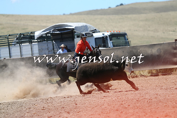 AdaminabyCampdraft2014_0043