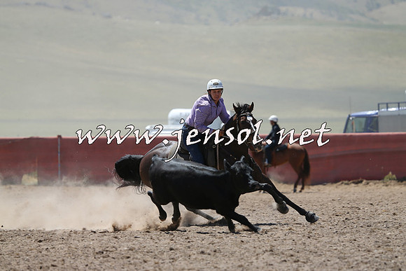 AdaminabyCampdraft2014_0006