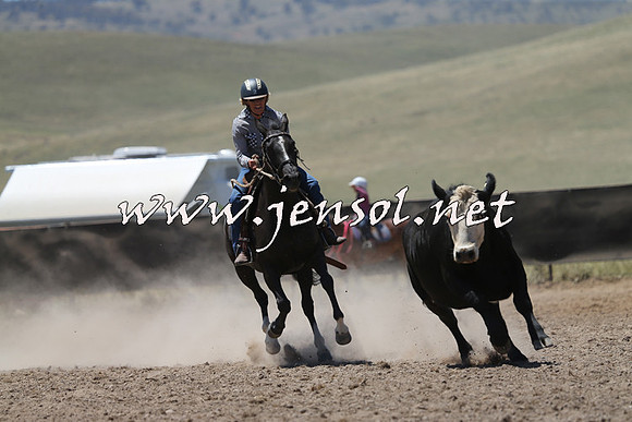 AdaminabyCampdraft2014_0102