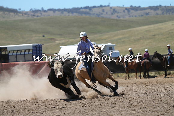 AdaminabyCampdraft2014_0090