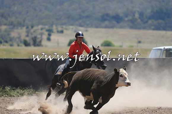 AdaminabyCampdraft2014_0041