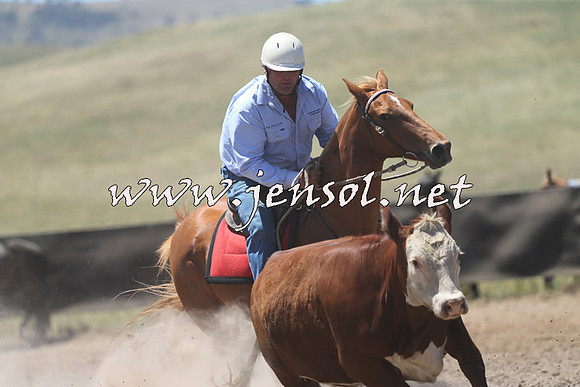 AdaminabyCampdraft2014_0082