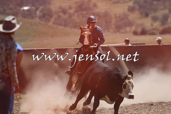 AdaminabyCampdraft2014_0072