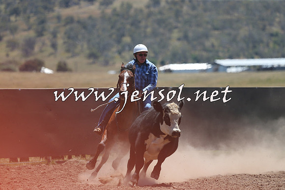 AdaminabyCampdraft2014_0108