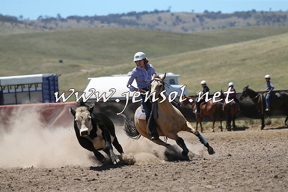 AdaminabyCampdraft2014_0089