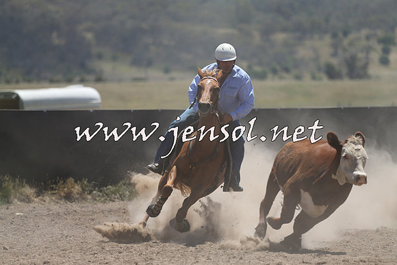 AdaminabyCampdraft2014_0078
