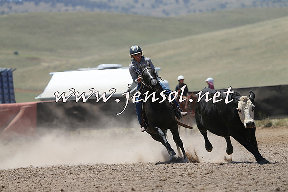 AdaminabyCampdraft2014_0107