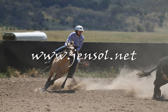AdaminabyCampdraft2014_0088