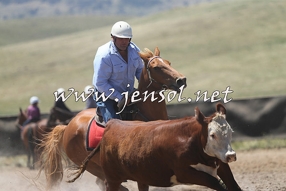 AdaminabyCampdraft2014_0083