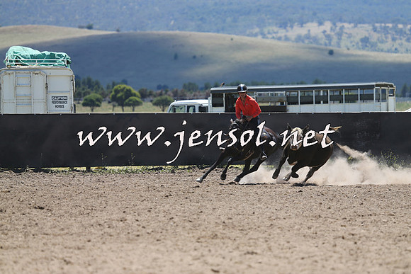 AdaminabyCampdraft2014_0048