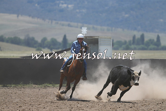 AdaminabyCampdraft2014_0121