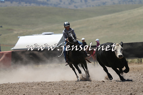 AdaminabyCampdraft2014_0104