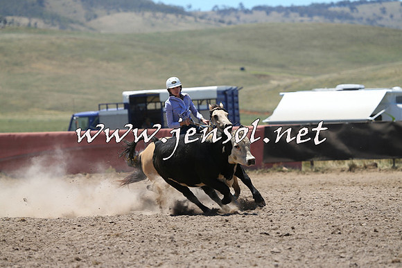 AdaminabyCampdraft2014_0094