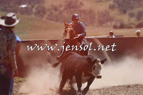 AdaminabyCampdraft2014_0074