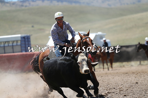 AdaminabyCampdraft2014_0037