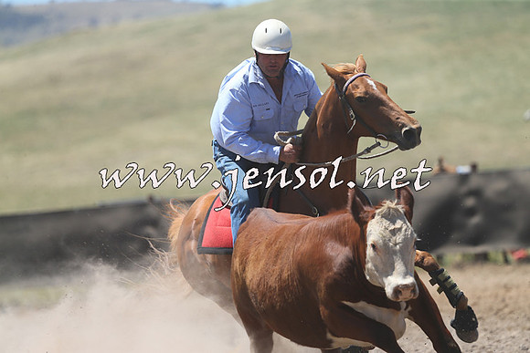 AdaminabyCampdraft2014_0085