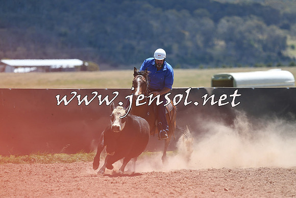 AdaminabyCampdraft2014_0062