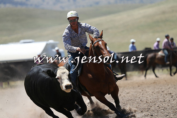 AdaminabyCampdraft2014_0040