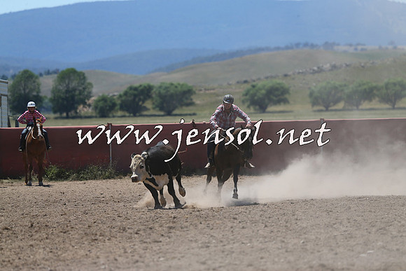 AdaminabyCampdraft2014_0032