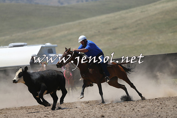 AdaminabyCampdraft2014_0070