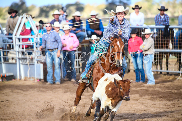 CoonambleRodeoCampdraftSun_4044
