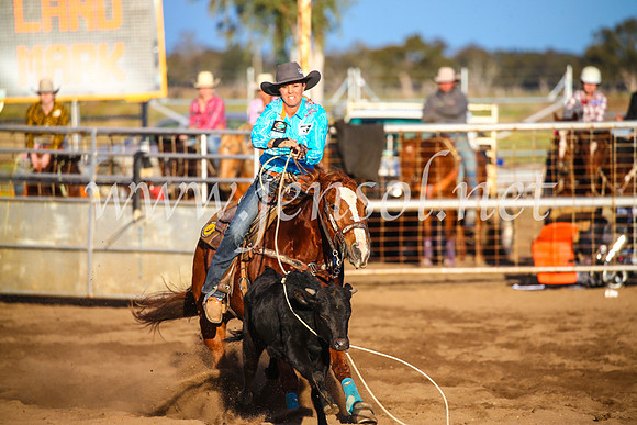 CoonambleRodeoCampdraftSun_4758