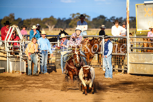 CoonambleRodeoCampdraftSun_4710