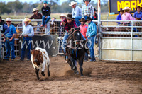 CoonambleRodeoCampdraftSun_2585