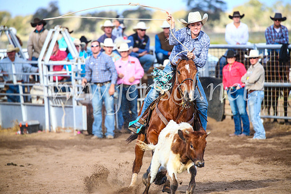 CoonambleRodeoCampdraftSun_4041