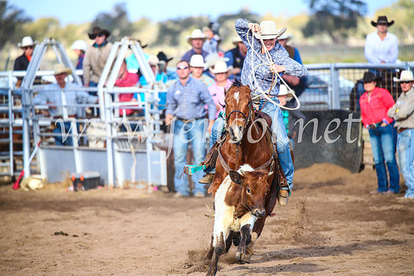 CoonambleRodeoCampdraftSun_4039