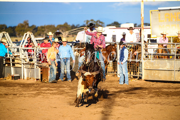 CoonambleRodeoCampdraftSun_4723