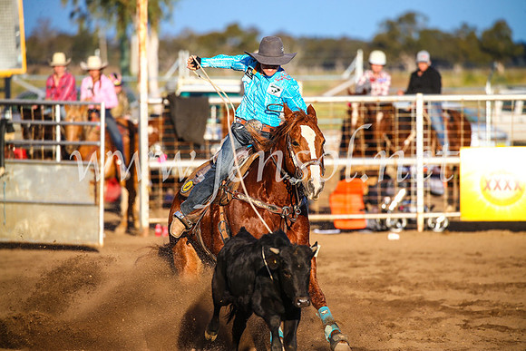 CoonambleRodeoCampdraftSun_4750