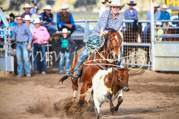 CoonambleRodeoCampdraftSun_4043