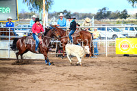 CoonambleRodeoCampdraftSun_4027